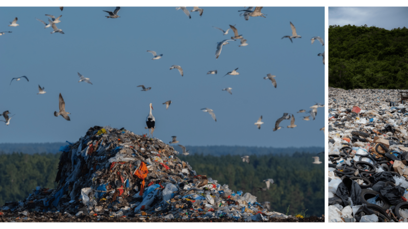 Traité ONU pollution plastique : négociations bloquées par bras de